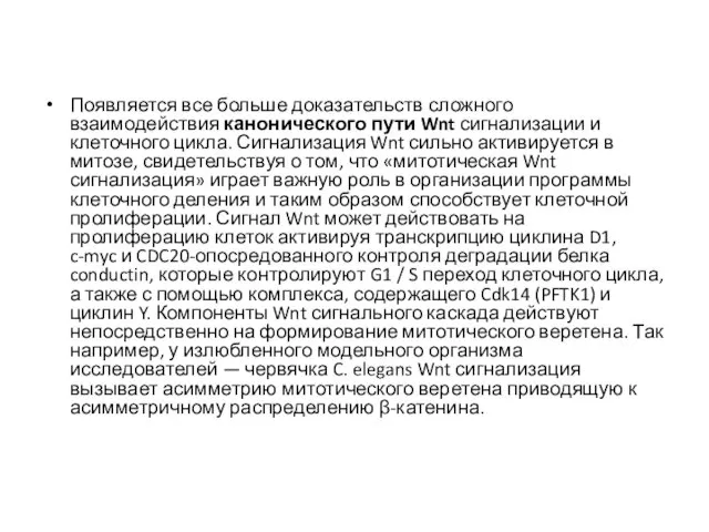 Появляется все больше доказательств сложного взаимодействия канонического пути Wnt сигнализации