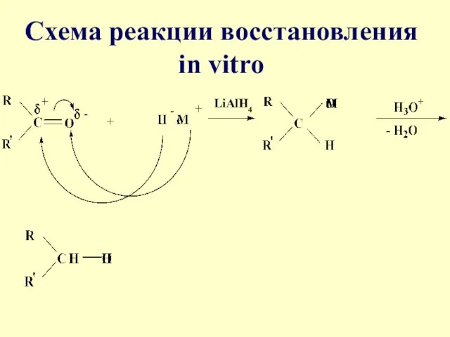 Схема реакции восстановления in vitro LiAlH4