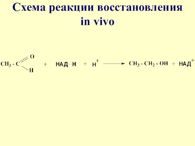 Схема реакции восстановления in vivo