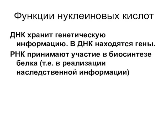 Функции нуклеиновых кислот ДНК хранит генетическую информацию. В ДНК находятся