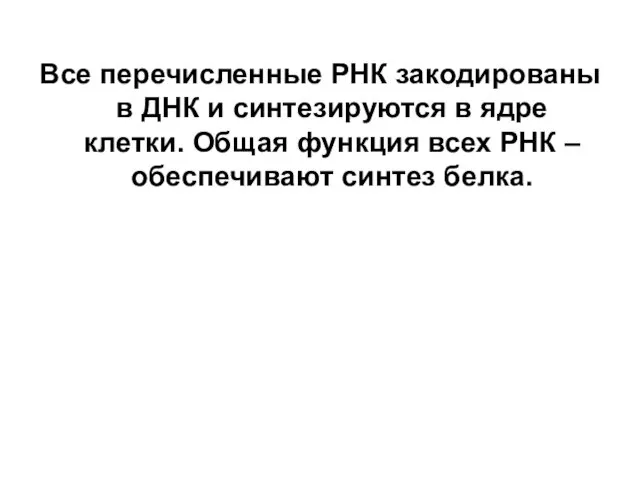 Все перечисленные РНК закодированы в ДНК и синтезируются в ядре