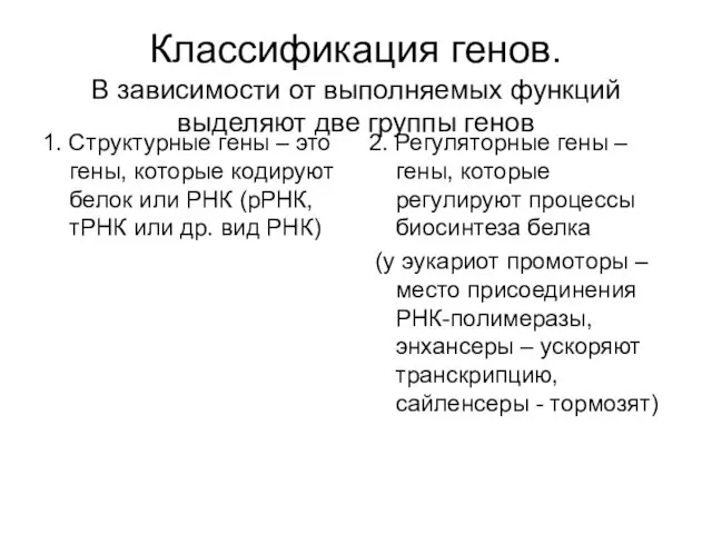 Классификация генов. В зависимости от выполняемых функций выделяют две группы