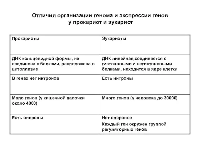 Отличия организации генома и экспрессии генов у прокариот и эукариот