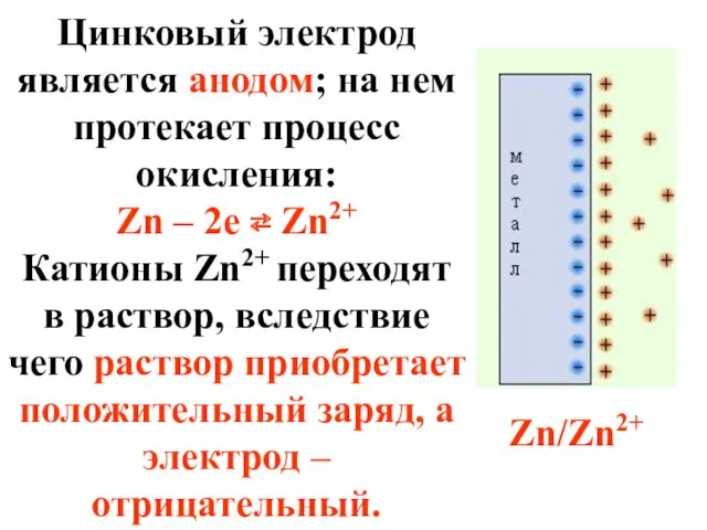 Цинковый электрод является анодом; на нем протекает процесс окисления: Zn