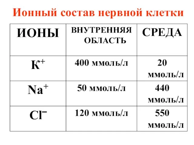 Ионный состав нервной клетки