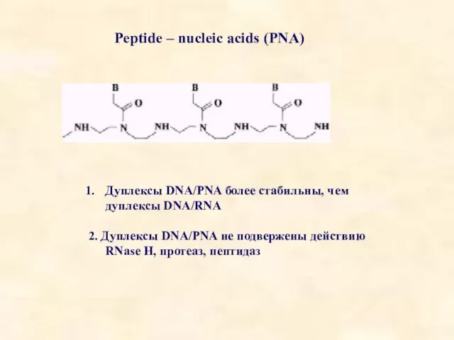 Peptide – nucleic acids (PNA) Дуплексы DNA/PNA более стабильны, чем