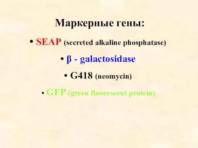 Маркерные гены: SEAP (secreted alkaline phosphatase) β - galactosidase G418 (neomycin) GFP (green fluorescent protein)