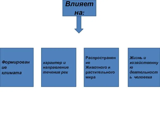 Формирование климата характер и направление течения рек Распространение Животного и