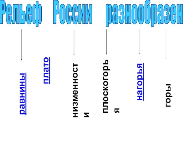 Рельеф России разнообразен равнины плато низменности плоскогорья нагорья горы