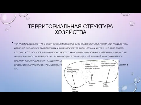 ТЕРРИТОРИАЛЬНАЯ СТРУКТУРА ХОЗЯЙСТВА ТСХ РАЗВИВАЮЩИХСЯ СТРАН В ЗНАЧИТЕЛЬНОЙ МЕРЕ ИНАЯ.