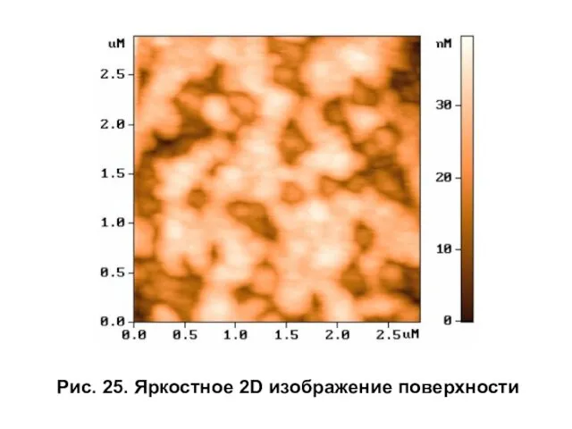 Рис. 25. Яркостное 2D изображение поверхности