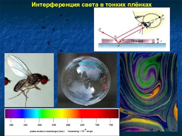 Интерференция света в тонких плёнках