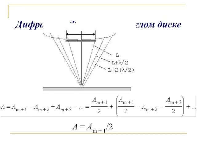 Дифракция Френеля на круглом диске A = Am + 1/2