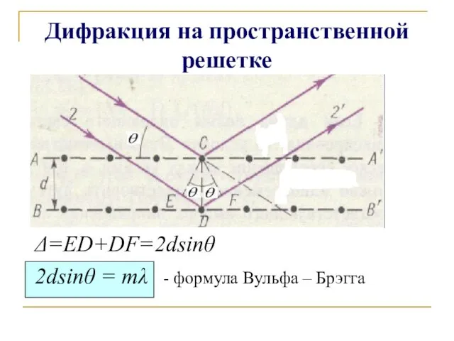 Дифракция на пространственной решетке Δ=ED+DF=2dsinθ 2dsinθ = mλ - формула Вульфа – Брэгга