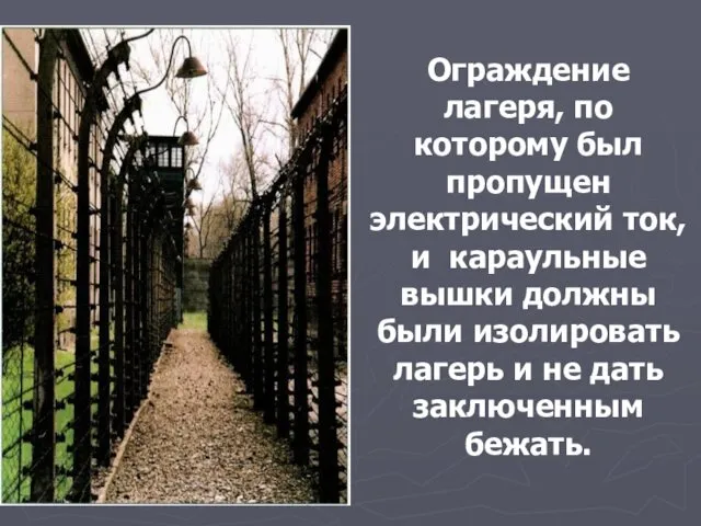 Ограждение лагеря, по которому был пропущен электрический ток, и караульные