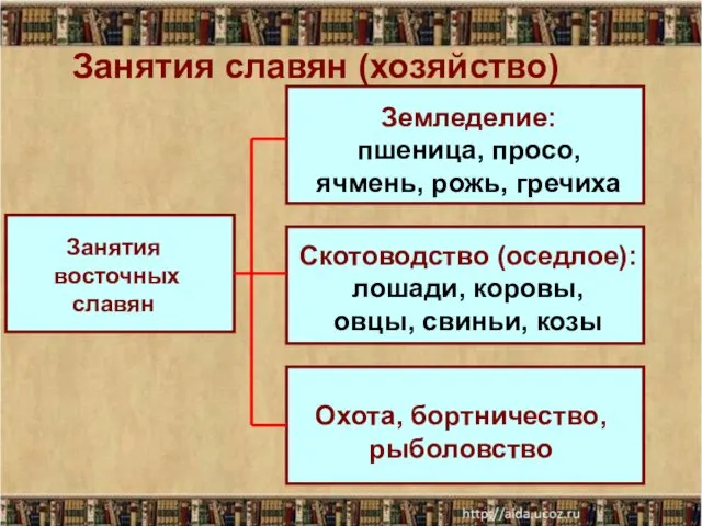 Занятия славян (хозяйство) Скотоводство (оседлое): лошади, коровы, овцы, свиньи, козы Земледелие: пшеница, просо,