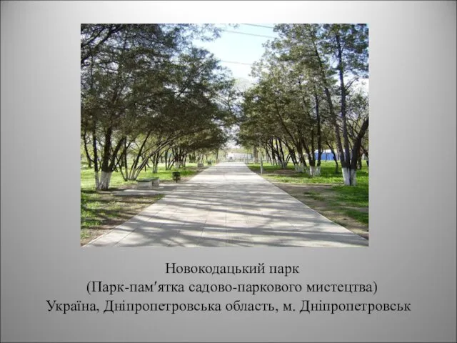 Новокодацький парк (Парк-пам′ятка садово-паркового мистецтва) Україна, Дніпропетровська область, м. Дніпропетровськ