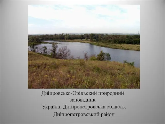 Дніпровсько-Орільский природний заповідник Україна, Дніпропетровська область, Дніпропетровський район