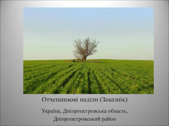 Отченашкові наділи (Заказнік) Україна, Дніпропетровська область, Дніпропетровський район