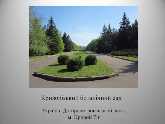 Криворізький ботанічний сад Україна, Дніпропетровська область, м. Кривий Ріг