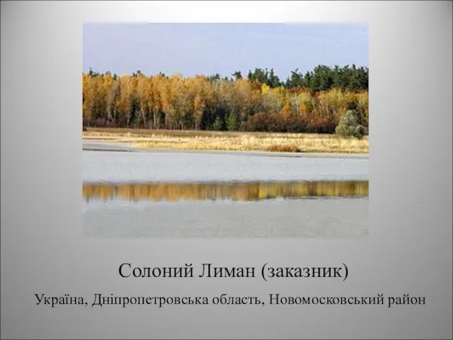 Солоний Лиман (заказник) Україна, Дніпропетровська область, Новомосковський район