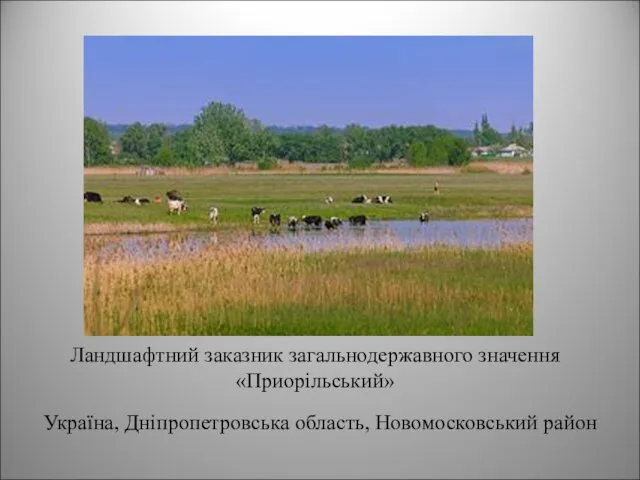 Ландшафтний заказник загальнодержавного значення «Приорільський» Україна, Дніпропетровська область, Новомосковський район