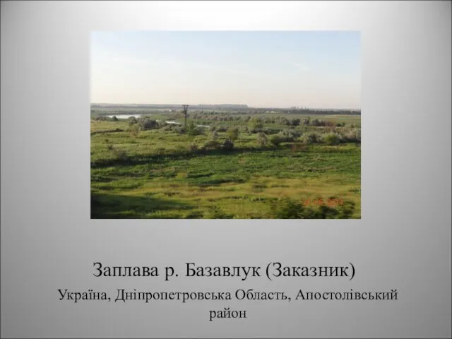 Заплава р. Базавлук (Заказник) Україна, Дніпропетровська Область, Апостолівський район