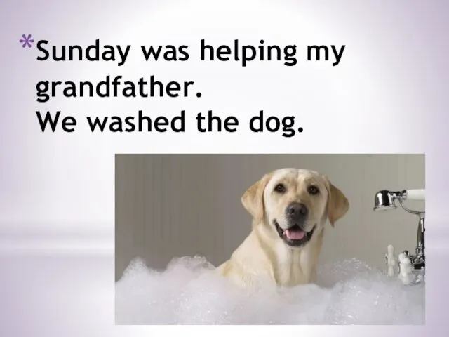Sunday was helping my grandfather. We washed the dog.