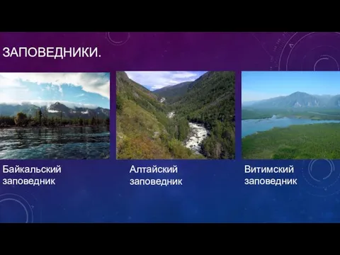 ЗАПОВЕДНИКИ. Байкальский заповедник Алтайский заповедник Витимский заповедник