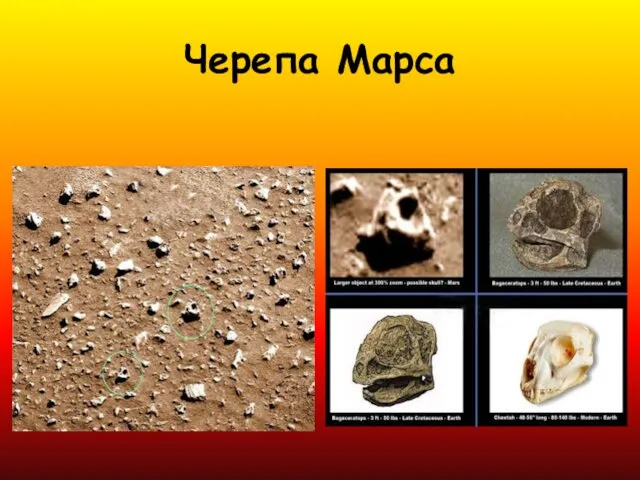 Черепа Марса