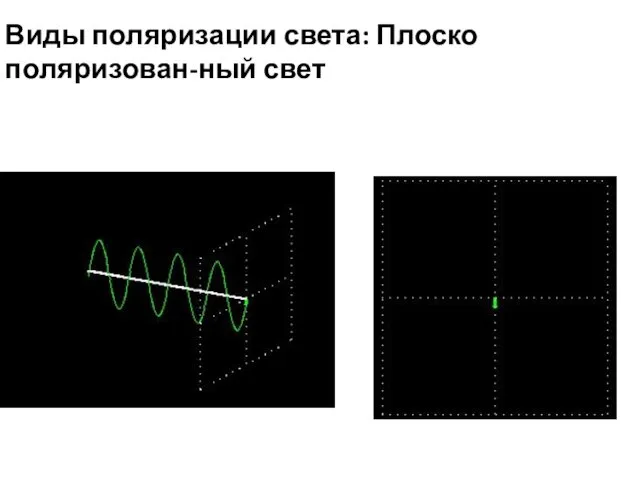 Виды поляризации света: Плоско поляризован-ный свет