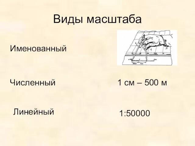 Виды масштаба Именованный Численный Линейный 1 см – 500 м 1:50000