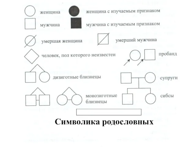 Символика родословных Символика родословных