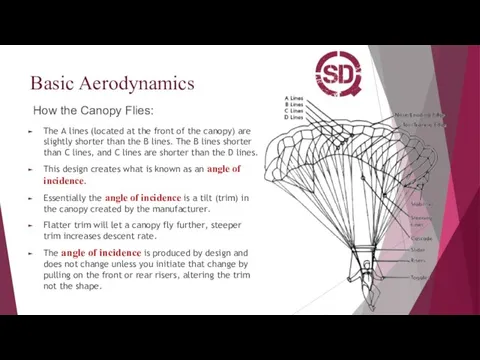 Basic Aerodynamics How the Canopy Flies: The A lines (located