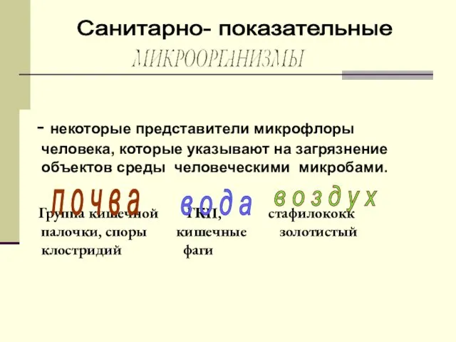 - некоторые представители микрофлоры человека, которые указывают на загрязнение объектов среды человеческими микробами.