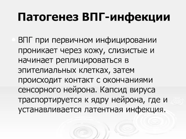 Патогенез ВПГ-инфекции ВПГ при первичном инфицировании проникает через кожу, слизистые