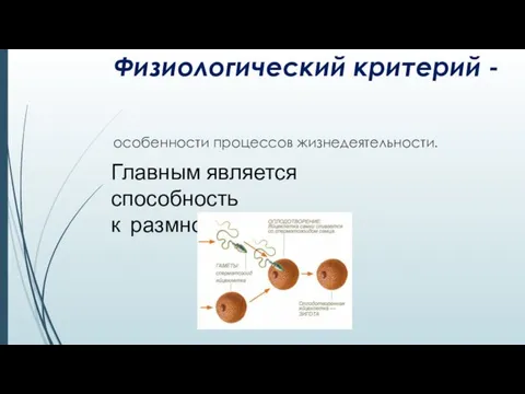 Физиологический критерий - особенности процессов жизнедеятельности. Главным является способность к размножению.