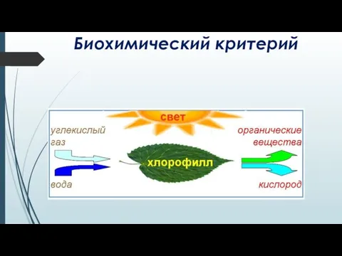 Биохимический критерий