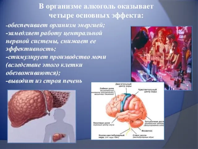 В организме алкоголь оказывает четыре основных эффекта: -обеспечивает организм энергией;