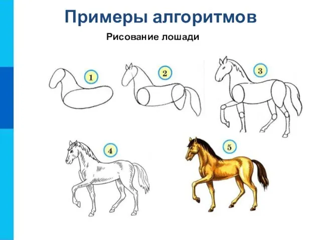 Примеры алгоритмов Рисование лошади