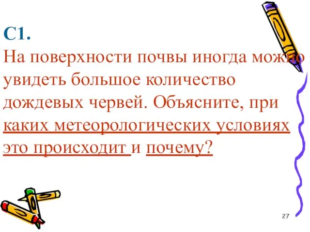 С1. На поверхности почвы иногда можно увидеть большое количество дождевых