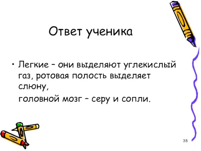 Ответ ученика Легкие – они выделяют углекислый газ, ротовая полость