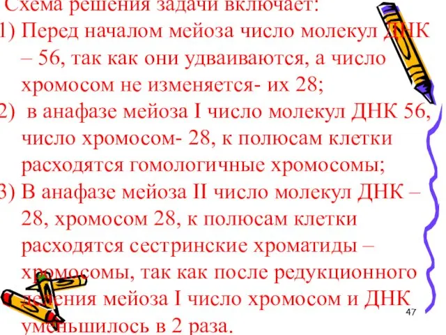 Схема решения задачи включает: Перед началом мейоза число молекул ДНК