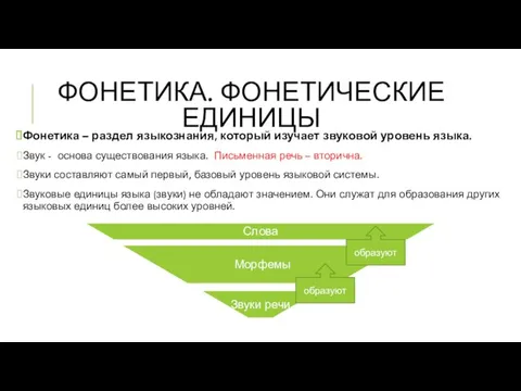 ФОНЕТИКА. ФОНЕТИЧЕСКИЕ ЕДИНИЦЫ Фонетика – раздел языкознания, который изучает звуковой