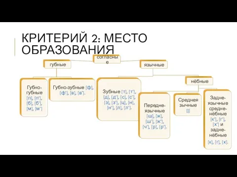 КРИТЕРИЙ 2: МЕСТО ОБРАЗОВАНИЯ