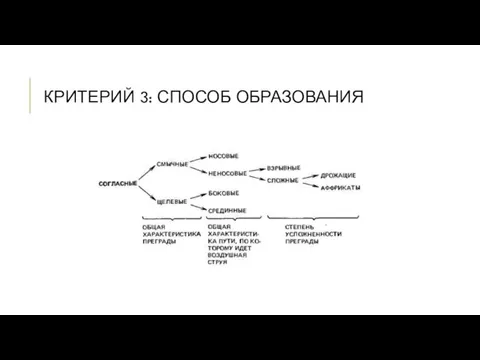 КРИТЕРИЙ 3: СПОСОБ ОБРАЗОВАНИЯ