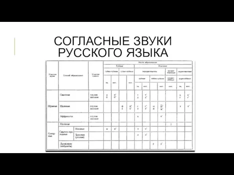 СОГЛАСНЫЕ ЗВУКИ РУССКОГО ЯЗЫКА