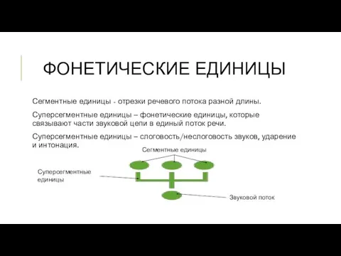 ФОНЕТИЧЕСКИЕ ЕДИНИЦЫ Сегментные единицы - отрезки речевого потока разной длины.