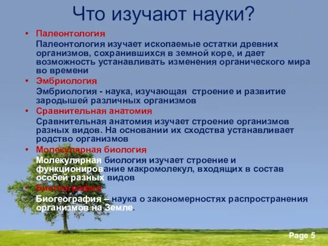 Что изучают науки? Палеонтология Палеонтология изучает ископаемые остатки древних организмов,