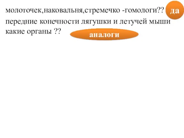 молоточек,наковальня,стремечко -гомологи?? передние конечности лягушки и летучей мыши какие органы ?? да аналоги